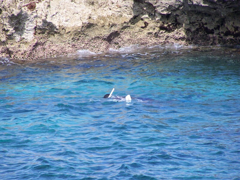 Letters From Charlie