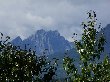 Thumb 
for 100_1291.JPG (71 
KB)