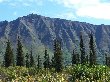 Thumb
for 100_1294.JPG (91
KB)