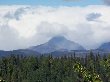 Thumb
for 100_1296.JPG (43
KB)