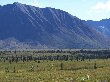 Thumb
for 100_1301.JPG (64
KB)