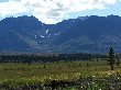 Thumb
for 100_1302.JPG (63
KB)