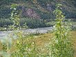 Thumb
for 100_1307.JPG (85
KB)