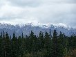 Thumb
for 100_1310.JPG (53
KB)