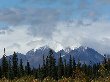 Thumb
for 100_1298.JPG (50
KB)