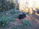 Tree Cutting 2010 Thumb for 100_4269_fixed.jpg (229
KB)