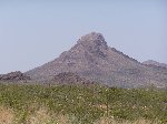 Thumb 
for 100_0437.JPG (59 
KB)
