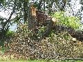 Thumb 
for 100_1503.JPG (184 
KB)