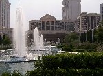 Thumb 
for 100_0657.JPG (75 
KB)