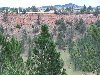 Thumb 
for 100_1102.JPG (103 
KB)