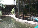 Thumb 
for 100_0607.JPG (103 
KB)