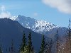 Thumb 
for 100_1335.JPG (47 
KB)