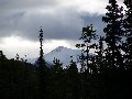 Thumb 
for 100_1357.JPG (62 
KB)