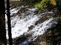 Thumb 
for 100_1460.JPG (110 
KB)