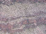 Thumb 
for 100_0530.JPG (116 
KB)