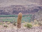 Thumb 
for 100_0545.JPG (99 
KB)