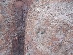 Thumb 
for 100_0548.JPG (112 
KB)