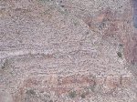 Thumb 
for 100_0553.JPG (76 
KB)