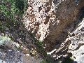Thumb 
for 100_1444.JPG (142 
KB)