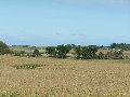 Thumb 
for 100_1507.JPG (53 
KB)