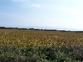 Thumb 
for 100_1508.JPG (72 
KB)