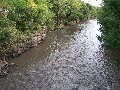 Thumb 
for 100_1510.JPG (130 
KB)