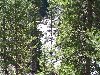 Thumb 
for 100_1159.JPG (166 
KB)