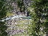 Thumb 
for 100_1160.JPG (166 
KB)