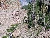 Thumb 
for 100_1166.JPG (161 
KB)