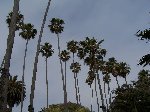 Thumb 
for 100_0781.JPG (61 
KB)