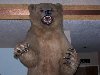 Thumb 
for 100_1279.JPG (53 
KB)