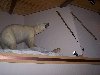 Thumb 
for 100_1280.JPG (39 
KB)