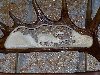 Thumb 
for 100_1282.JPG (120 
KB)