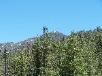 Thumb 
for 100_0482.JPG (93 
KB)