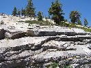 Thumb 
for 100_0914.JPG (116 
KB)
