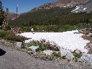 Thumb 
for 100_0930.JPG (102 
KB)