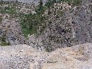 Thumb 
for 100_0934.JPG (119 
KB)