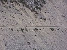 Thumb 
for 100_0936.JPG (108 
KB)